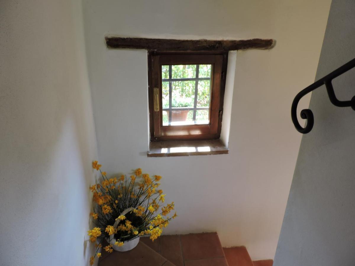 Celle sul Rigo Villa Bellavista - Piscina Ad Uso Esclusivo מראה חיצוני תמונה